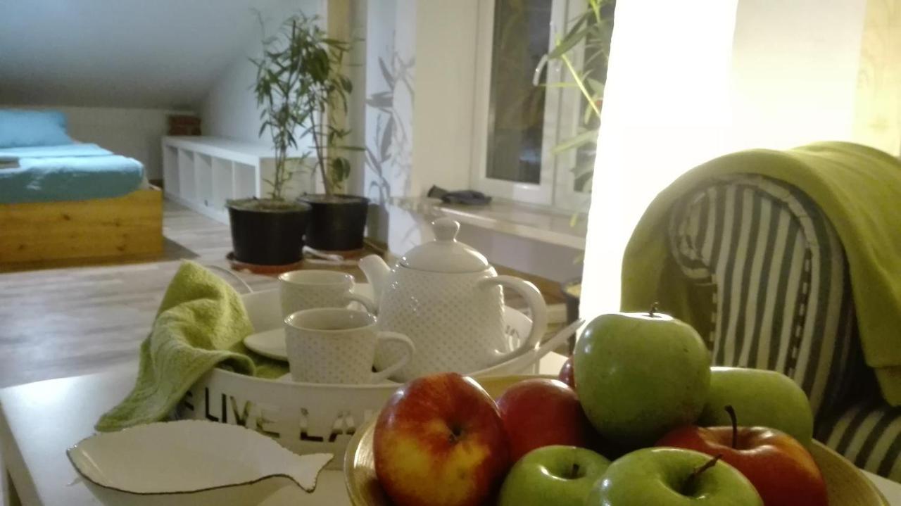 Swieże Poddasze u Przybyszów Andruszkowice Zewnętrze zdjęcie